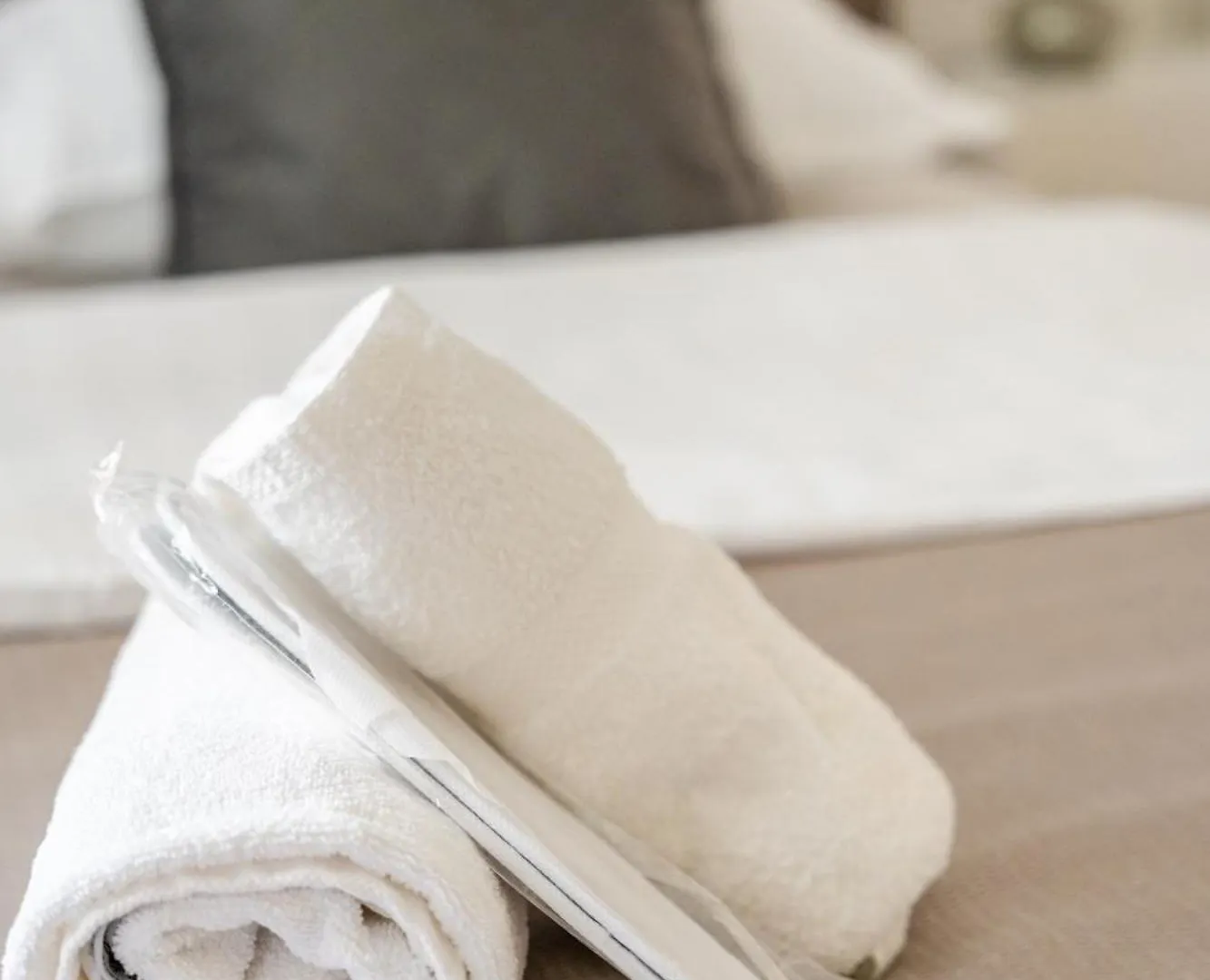 公寓 White House Luxury Suite 斯普利特